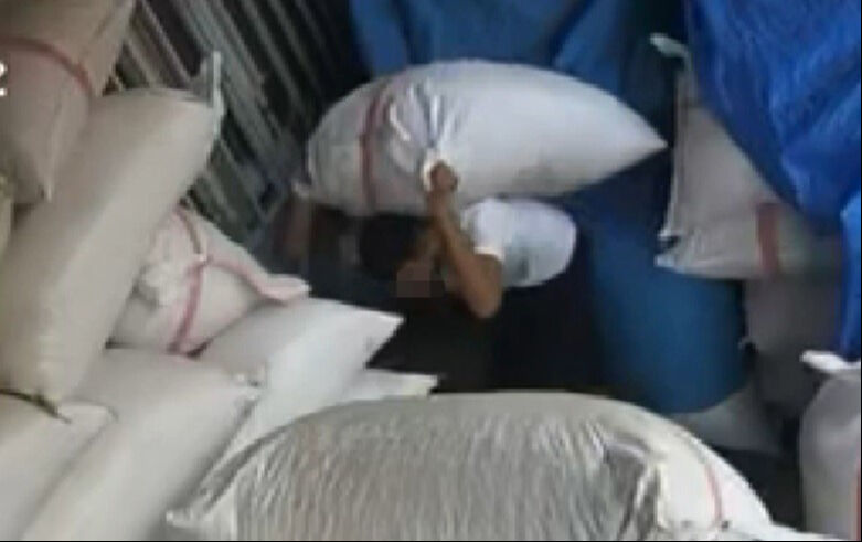 Gaziantep'teki fıstık hırsızı, şaşkına çevirdi: Yüzlerce kiloyu dakikalar içinde götürdü! - 1. Resim