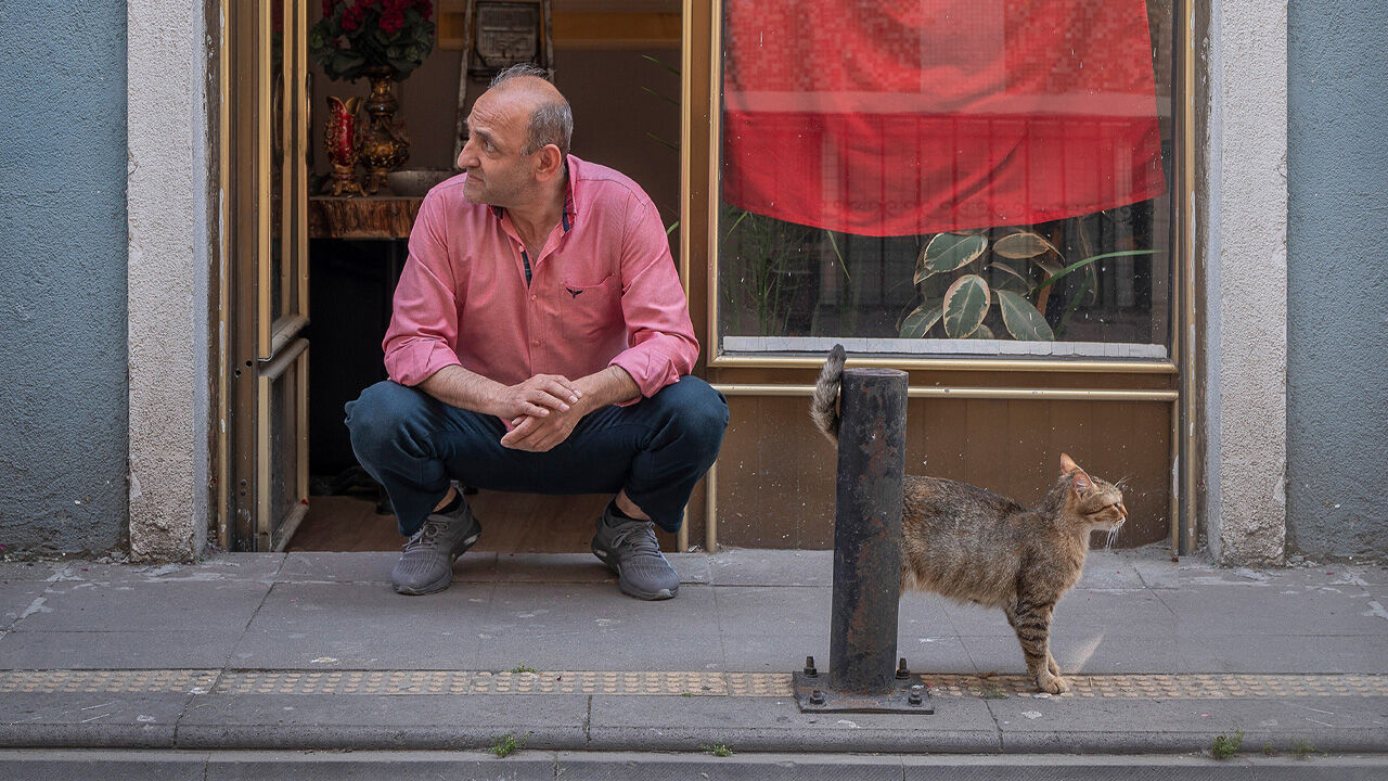 İstanbul'un patili dostlarını kadrajlayan Marcel Heijnen: Dünyanın kedi başkenti İstanbul - 2. Resim