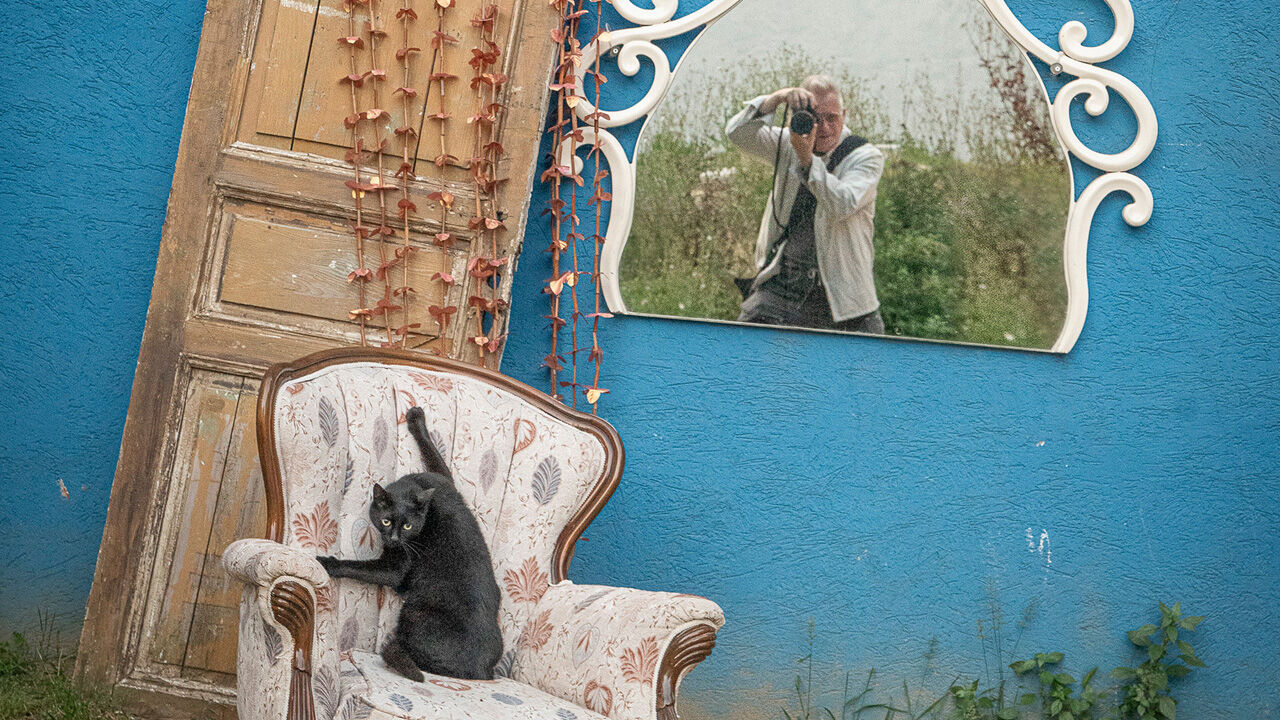İstanbul'un patili dostlarını kadrajlayan Marcel Heijnen: Dünyanın kedi başkenti İstanbul - 1. Resim