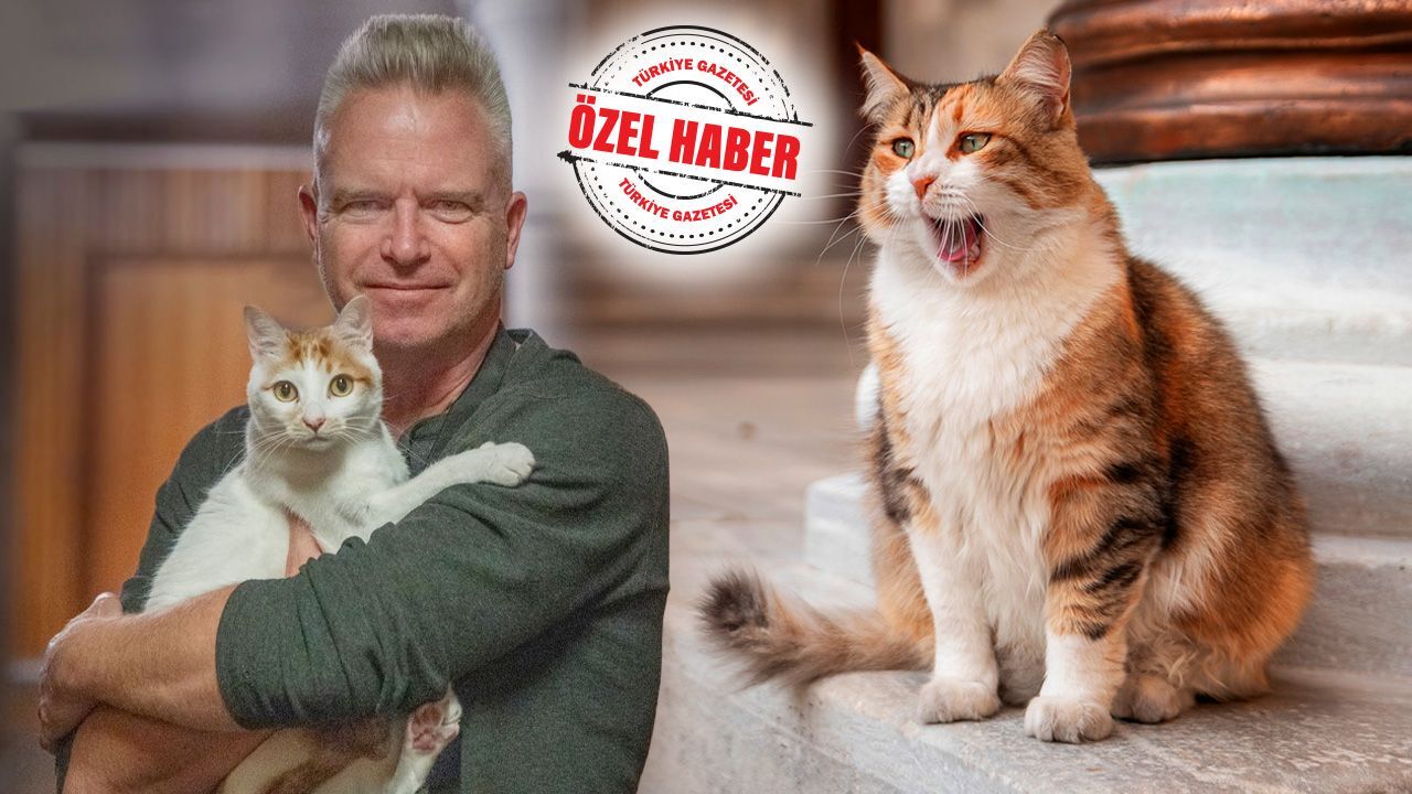 İstanbul&#039;un patili dostlarını kadrajlayan Marcel Heijnen: Dünyanın kedi başkenti İstanbul