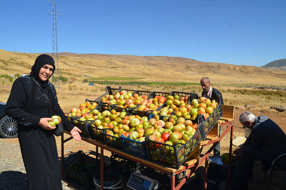 Köylerine döndüler, yetişmeyen ürünler yetişti: Muş'ta terörsüz bölgeler ihya oluyor - 5. Resim