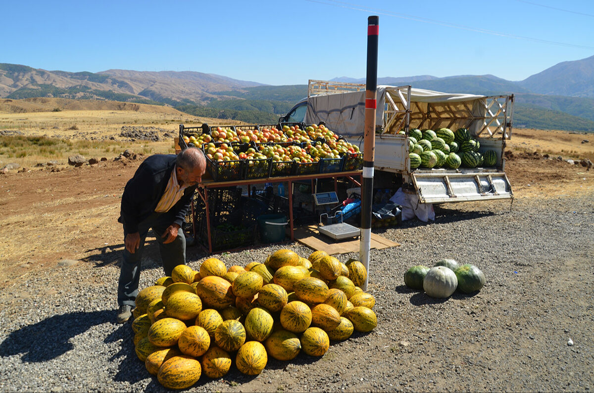 Köylerine döndüler, yetişmeyen ürünler yetişti: Muş'ta terörsüz bölgeler ihya oluyor - 4. Resim