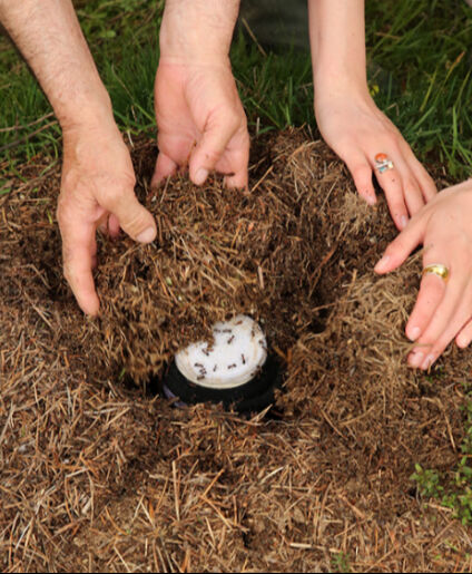 9 bin yıllık Anadolu geleneği... Görenler şaşkına döndü: Bu yoğurt 'karınca' ile mayalandı - 2. Resim