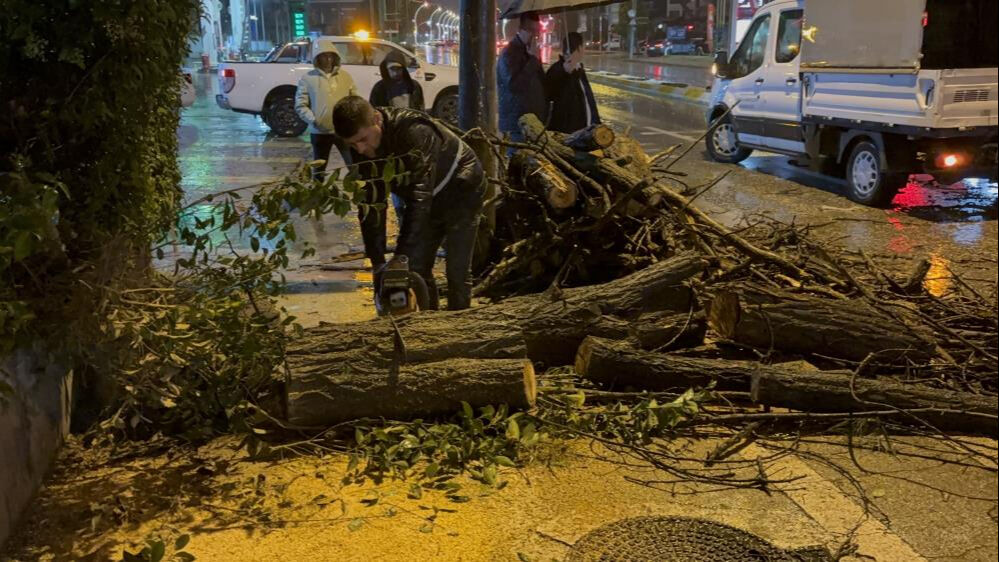 Edirne'yi sağanak vurdu! Ağaçlar devrildi, yollar kapandı - 3. Resim