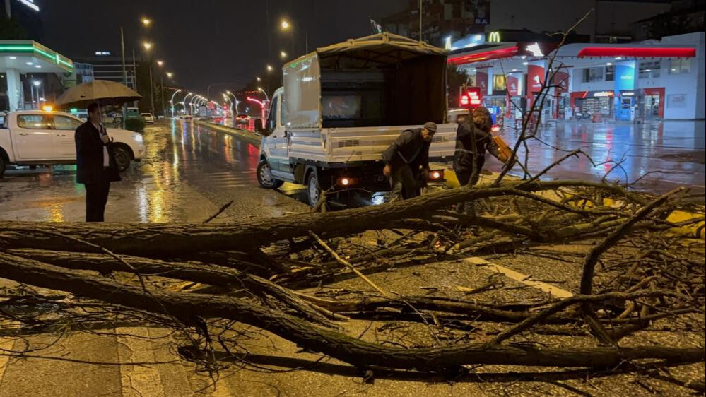 Edirne'yi sağanak vurdu! Ağaçlar devrildi, yollar kapandı - 1. Resim