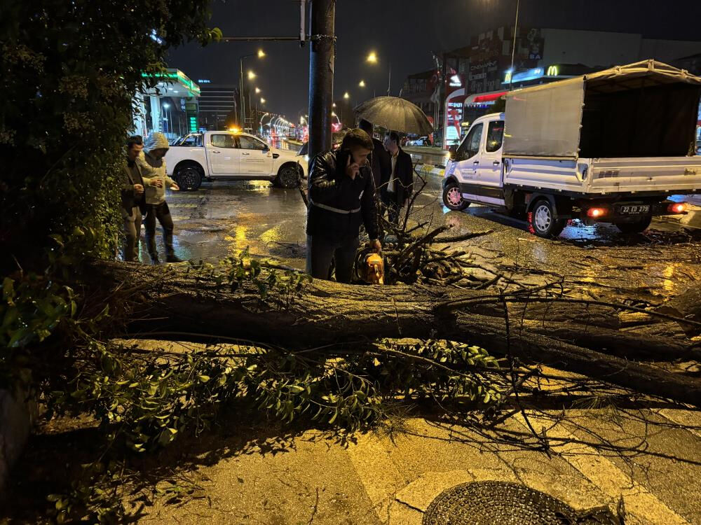 Edirne'yi sağanak vurdu! Ağaçlar devrildi, yollar kapandı - 2. Resim