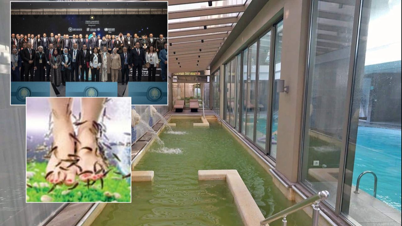 Kadim Anadolu tıbbı dünyaya açılıyor! Türkiye geleneksel tıpta referans ülke olacak