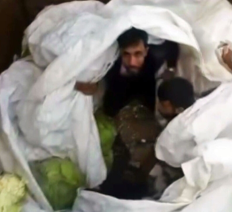 Lahana yüklü tırdan kaçak göçmenler çıktı - 1. Resim