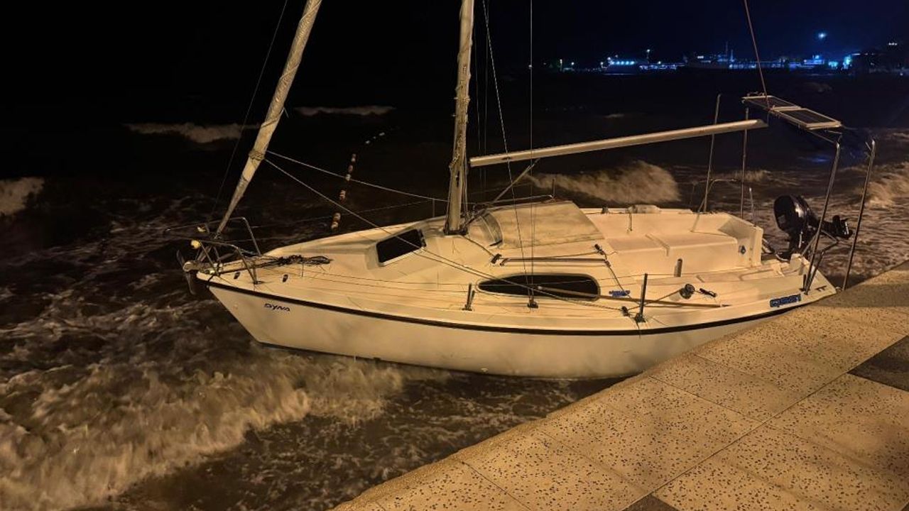 Yaşam