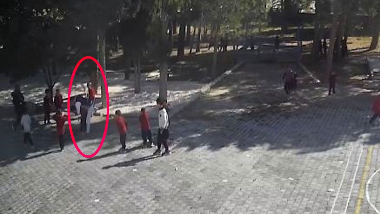 Yaşam