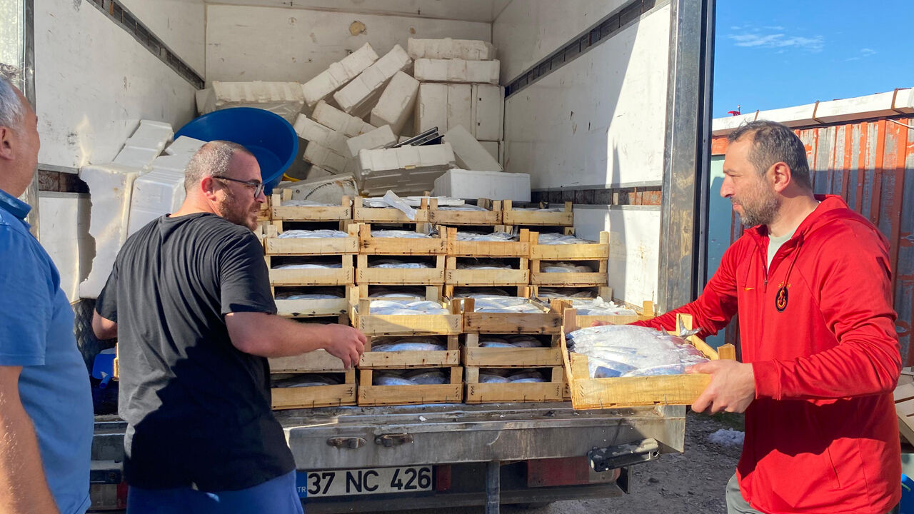 Sinop'ta balıkçının ağına adeta hazine takıldı!