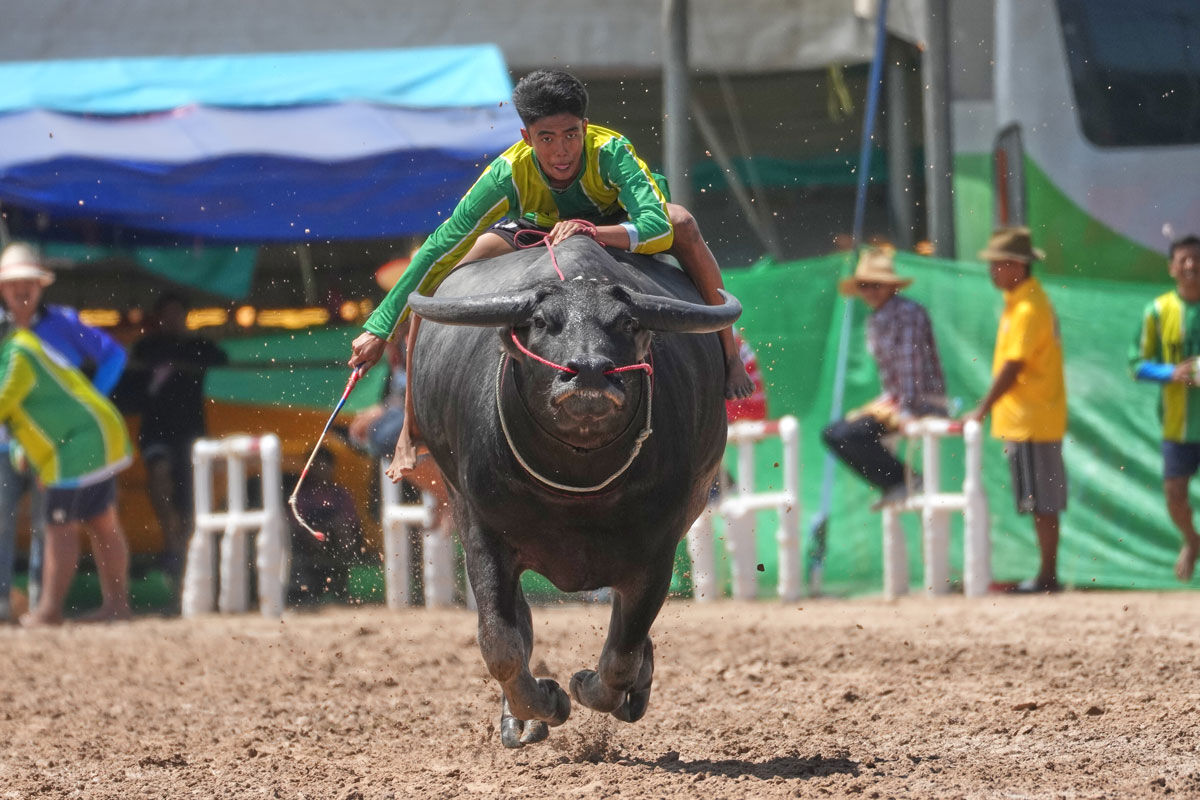 Tayland’da nefes kesen festival: Su mandaları artık göster yıldızı oldu - 1. Resim