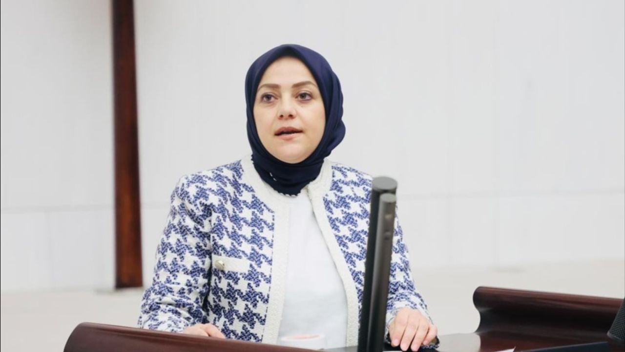 Sema Silkin Ün kimdir, hangi partiden? Özgürlük Filosu&#039;nda yer alıyordu