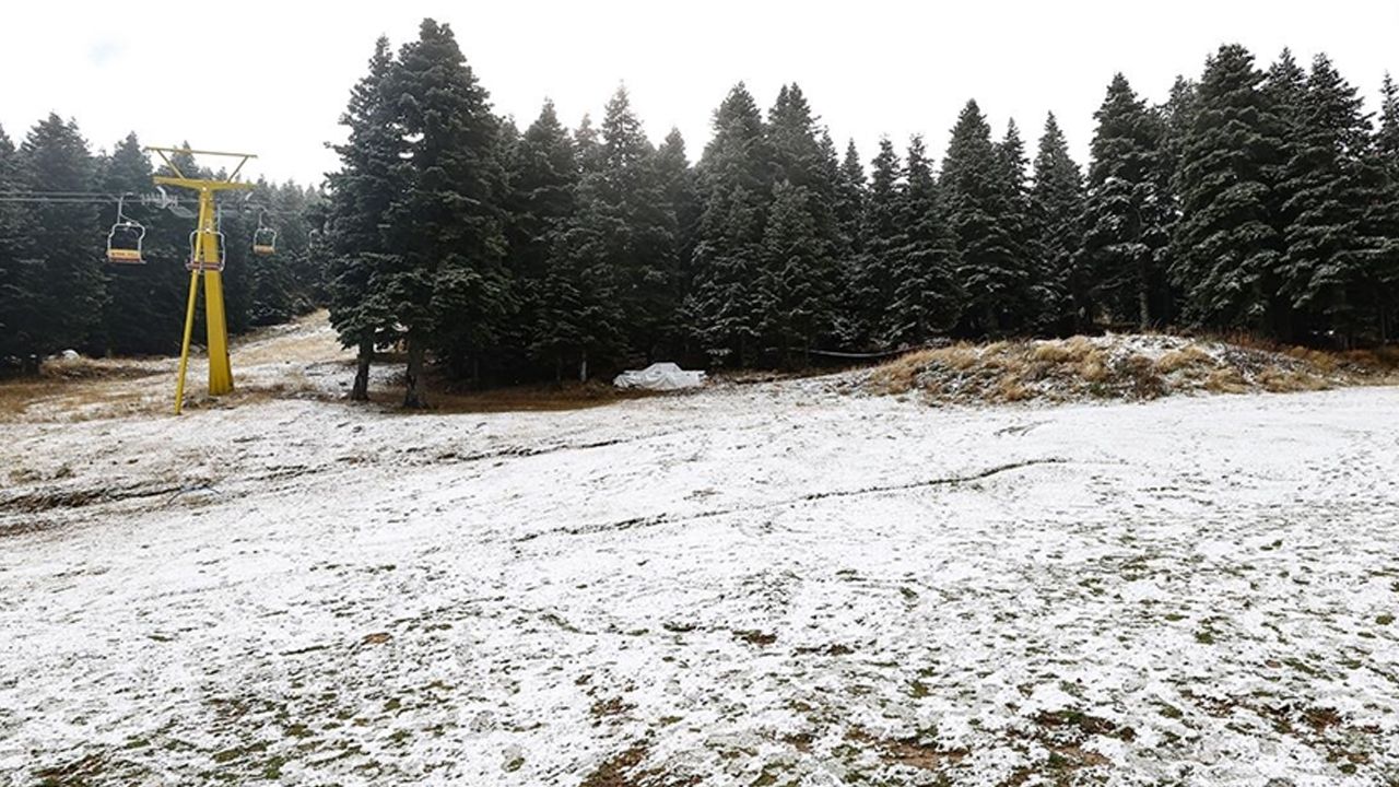 Yaşam