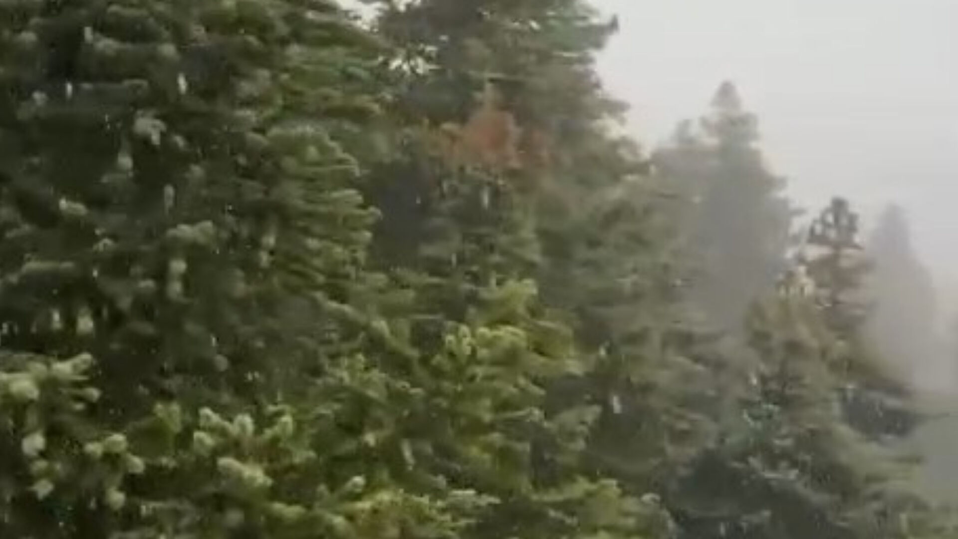 Yılın ilk kar yağışı! Uludağ beyaza büründü - 1. Resim