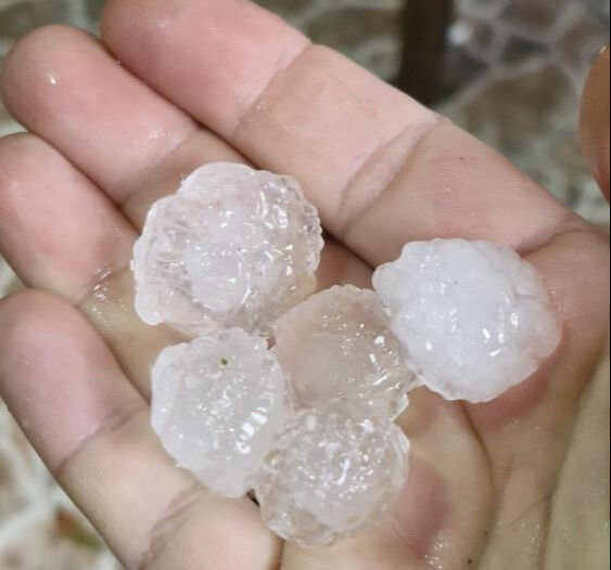 Adana'da dolu savar kullanımı yasakladı! - 2. Resim