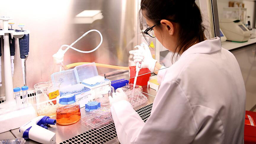 Bazı gıdalar, hücreleri genç tutuyor: 