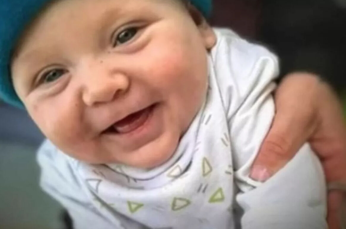 Beslediği pitbull oğlunun sonu oldu! Korkunç gerçek mahkemede ortaya çıktı - 1. Resim