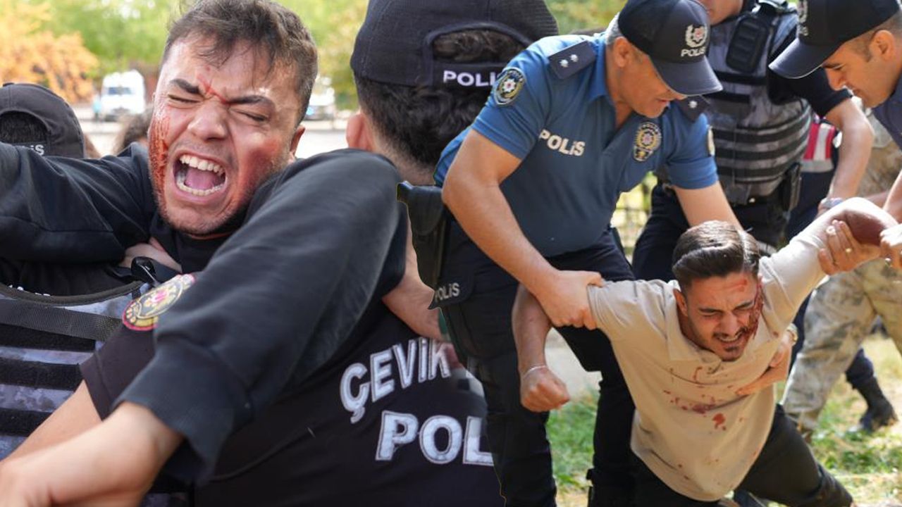Yaşam