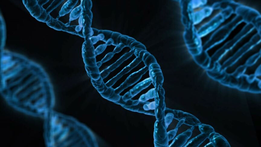 Kanserin şifresi DNA’da gizli! Hastalığı önceden gösteren test geliştirildi - 3. Resim