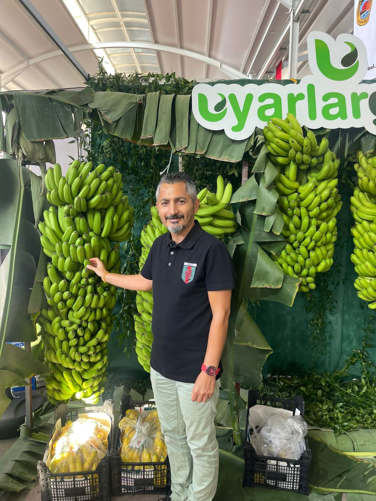 Tropikalin kalbi Alanya’da atıyor! Türkiye, Meksika ve İspanya’ya meydan okudu Tropikal akademi bahçesinden sonra rotamız, Alanya’nın Kestel bölgesinde yer alan Uyarlar Sebze ve Meyve Tesisleri oldu. Günlük 160 tonluk kapasitesiyle bölgenin en büyük muz işleme merkezlerinden biri olan tesis, tropikal üretimin sanayiye dönüşmüş hâlini yansıtıyor.