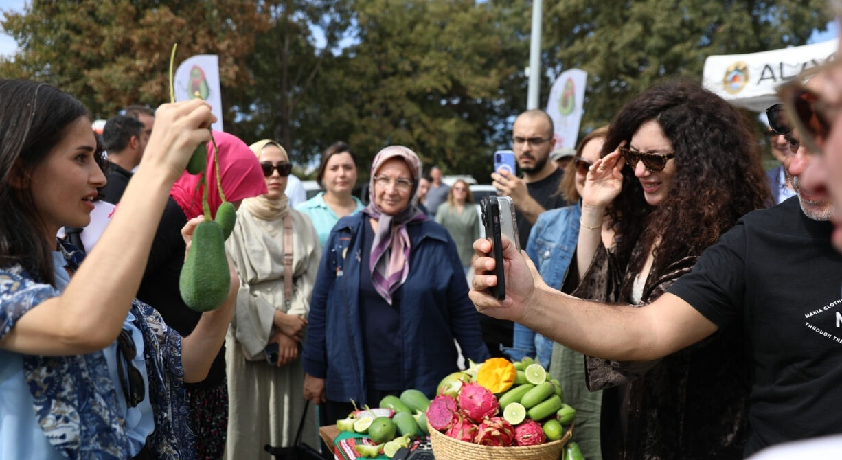 Tropikalin kalbi Alanya’da atıyor! Türkiye, Meksika ve İspanya’ya meydan okudu Türkiye, tropikal meyve üretiminde Meksika ve İspanya’ya meydan okuyor. Bir zamanlar yalnızca ithal edilen mango, avokado ve ejder meyvesi artık Türkiye’nin bereketli topraklarında yetişiyor.