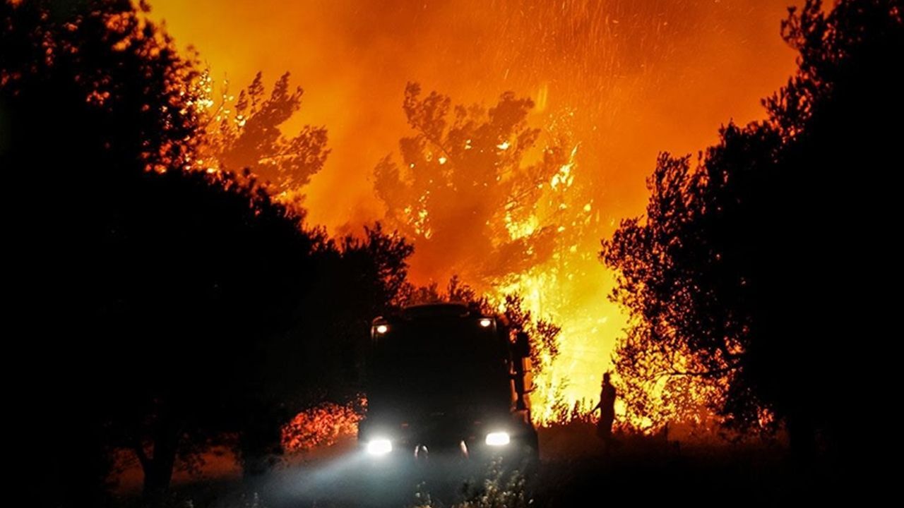 Çanakkale'de ormanda yanmış halde ceset bulundu Çanakkale'de ormanda yanmış halde ceset bulundu