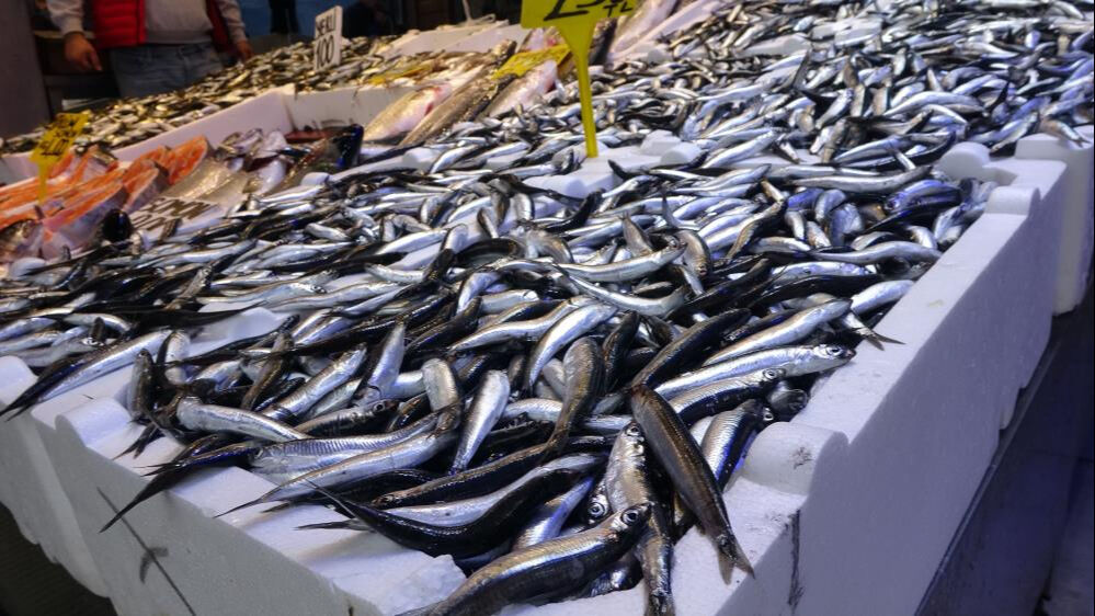 Denizde insansız deniz aracı patlatıldı! Balıkçılardan "Hamsi kaçtı" iddiası - 2. Resim