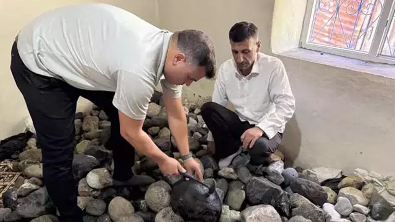 Herkes 'boş iş' dedi, kimseye aldırmadı! 5 bin tanesini evinin odasında saklıyor - 1. Resim