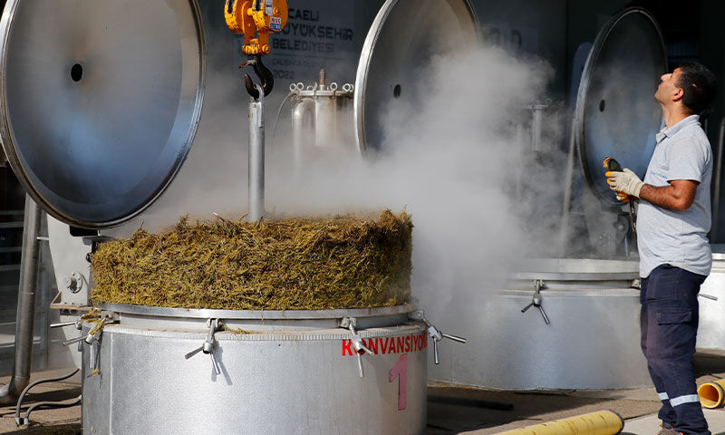 Sözleşmeli tarım modeliyle çiftçiye destek! Kuraklığa rağmen 200 ton hasat bekleniyor - 6. Resim
