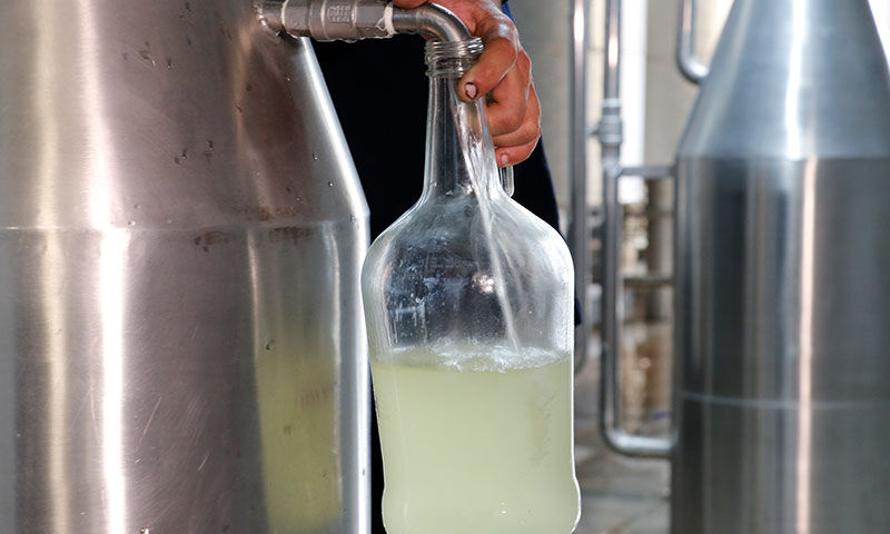 Sözleşmeli tarım modeliyle çiftçiye destek! Kuraklığa rağmen 200 ton hasat bekleniyor - 7. Resim