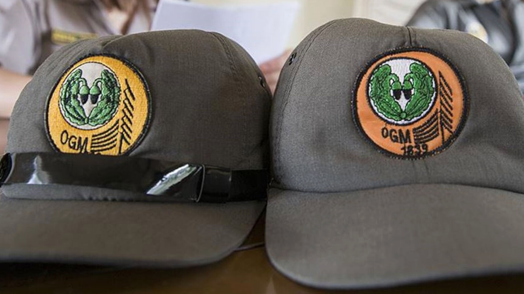 Tarım ve Orman Bakanlığı personel alımı ne zaman yapılacak? - 2. Resim