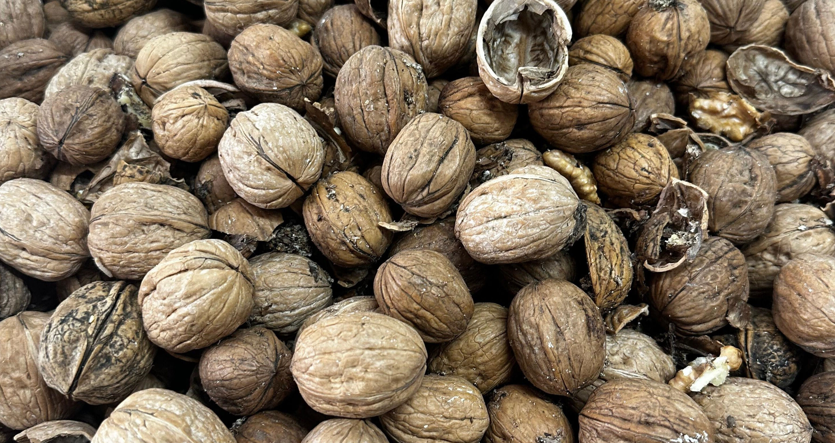 Vatandaşa yedireceklerdi! Tam 600 kilogram ürüne el kondu Vatandaşa yedireceklerdi! Tam 600 kilogram ürüne el kondu - 1. Resim