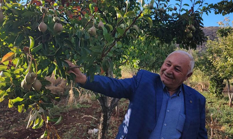 60 yıllık çiftçi ilk kez tanık oldu: Ömrümde böyle bir şey görmedim - 2. Resim