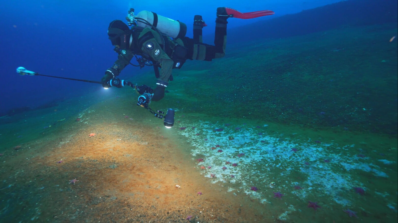 Bilim insanlarından okyanusun altında endişelendiren keşif! Hızla yayılmaya başladı - 1. Resim