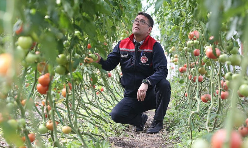 “Burada ürün olmaz” dediler, sera kurup herkese örnek oldular - 1. Resim