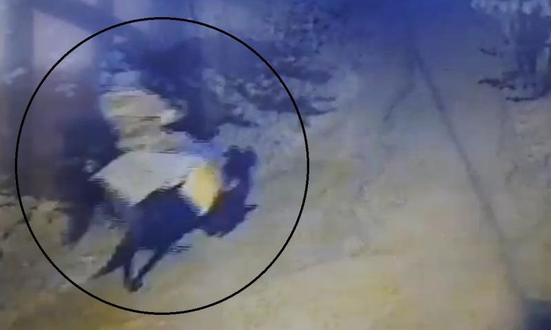 Kayseri’de çifte cinayeti at nalı ele verdi! Kaçarken görüntüleri ortaya çıktı - 5. Resim