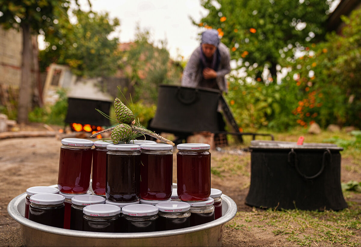Kışın olmazsa olmazı, gribe kalkan... Kızılçam kozalağı pekmez üretimi başladı: Bergama’nın yeni trend sağlık ürünü - 5. Resim