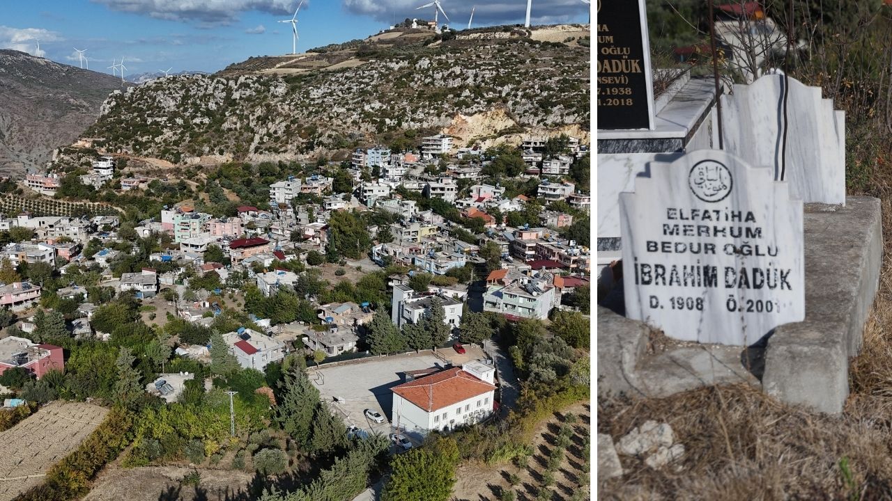 Yaşam
