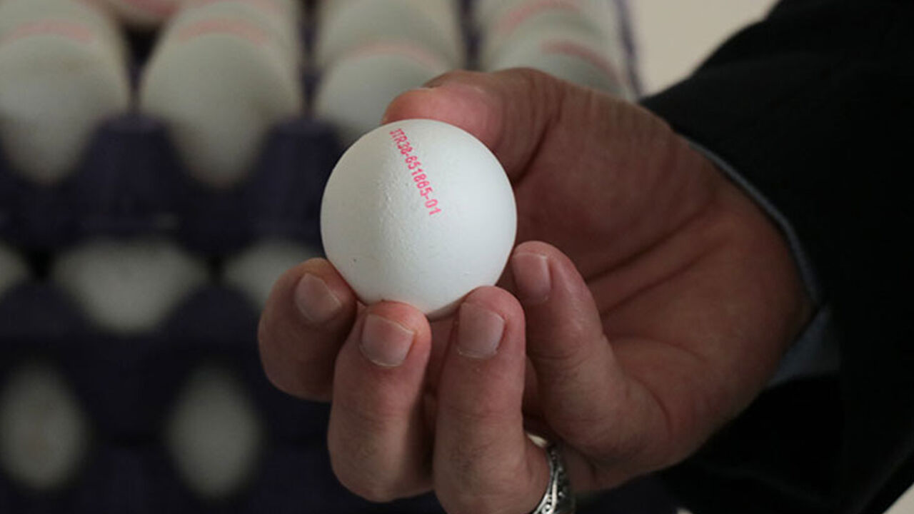 Yumurtaya zam bekleniyor mu? En yetkili isimden açıklama geldi - 3. Resim