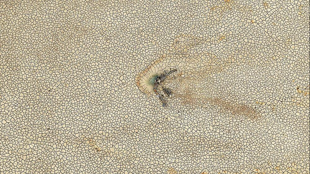 Bursa'da ürküten manzara! Gölbaşı kurudu, Kestel ve Gürsu alarm veriyor Bursa'da ürküten manzara! Gölbaşı kurudu, Kestel ve Gürsu alarm veriyor - 3. Resim