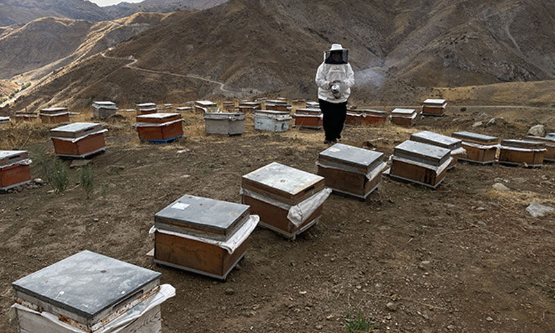 Devlet desteğiyle başladı! 30’dan 300’e çıkardı, üretimini de katlayacak Devlet desteğiyle başladı! 30’dan 300’e çıkardı, üretimini de katlayacak - 2. Resim