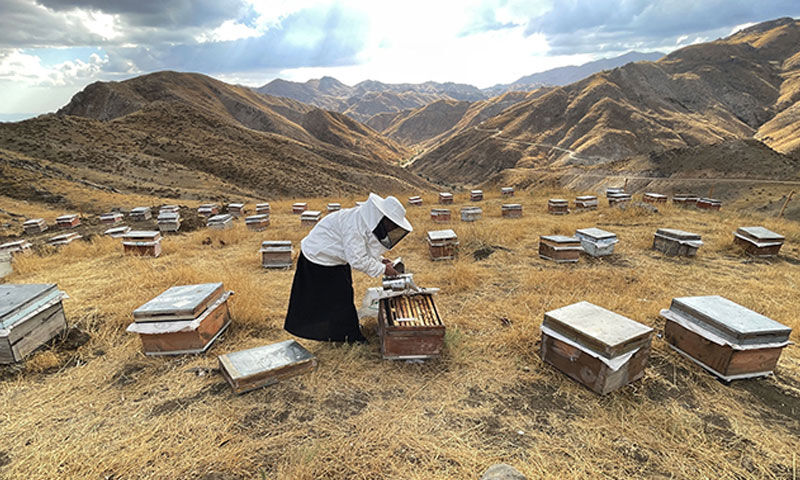 Devlet desteğiyle başladı! 30’dan 300’e çıkardı, üretimini de katlayacak Devlet desteğiyle başladı! 30’dan 300’e çıkardı, üretimini de katlayacak - 1. Resim