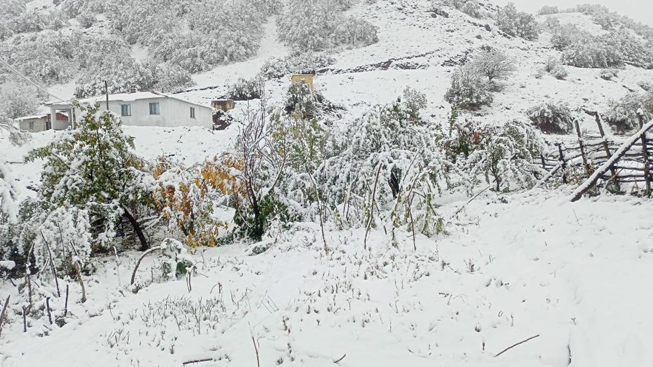 Yaşam