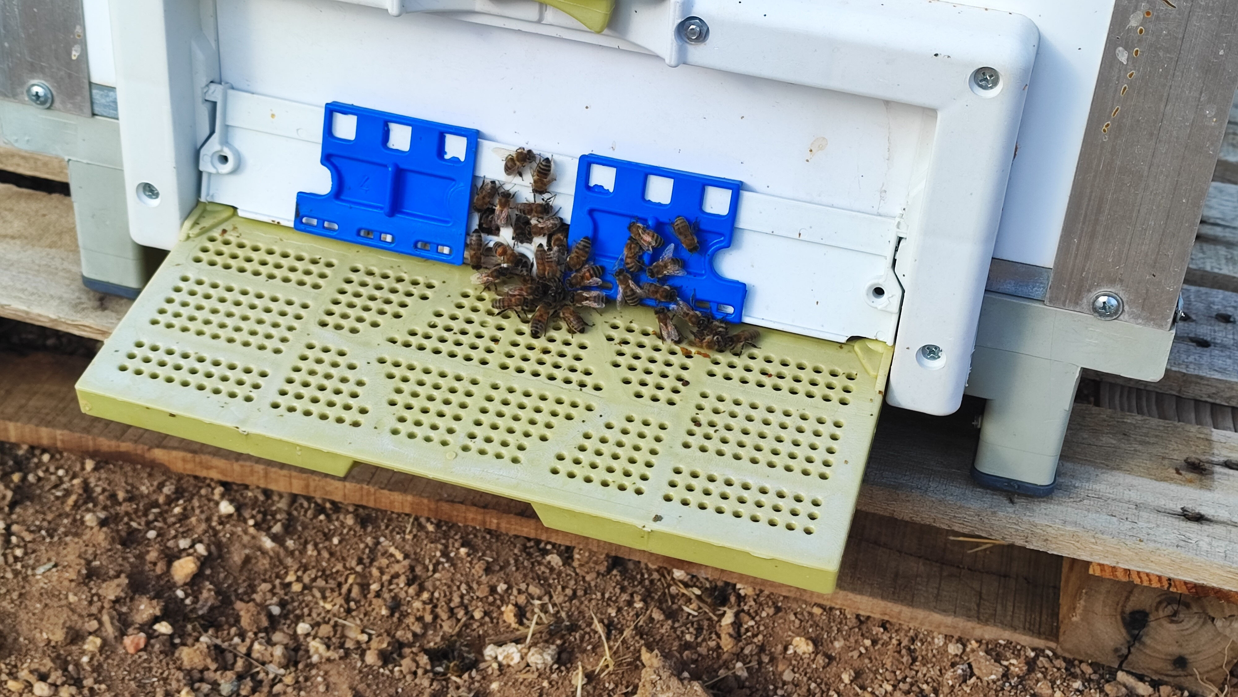 Bu bal öyle bir yerde üretiliyor ki... İnsan ayağı değmiyor, tadan bir daha istiyor - 2. Resim