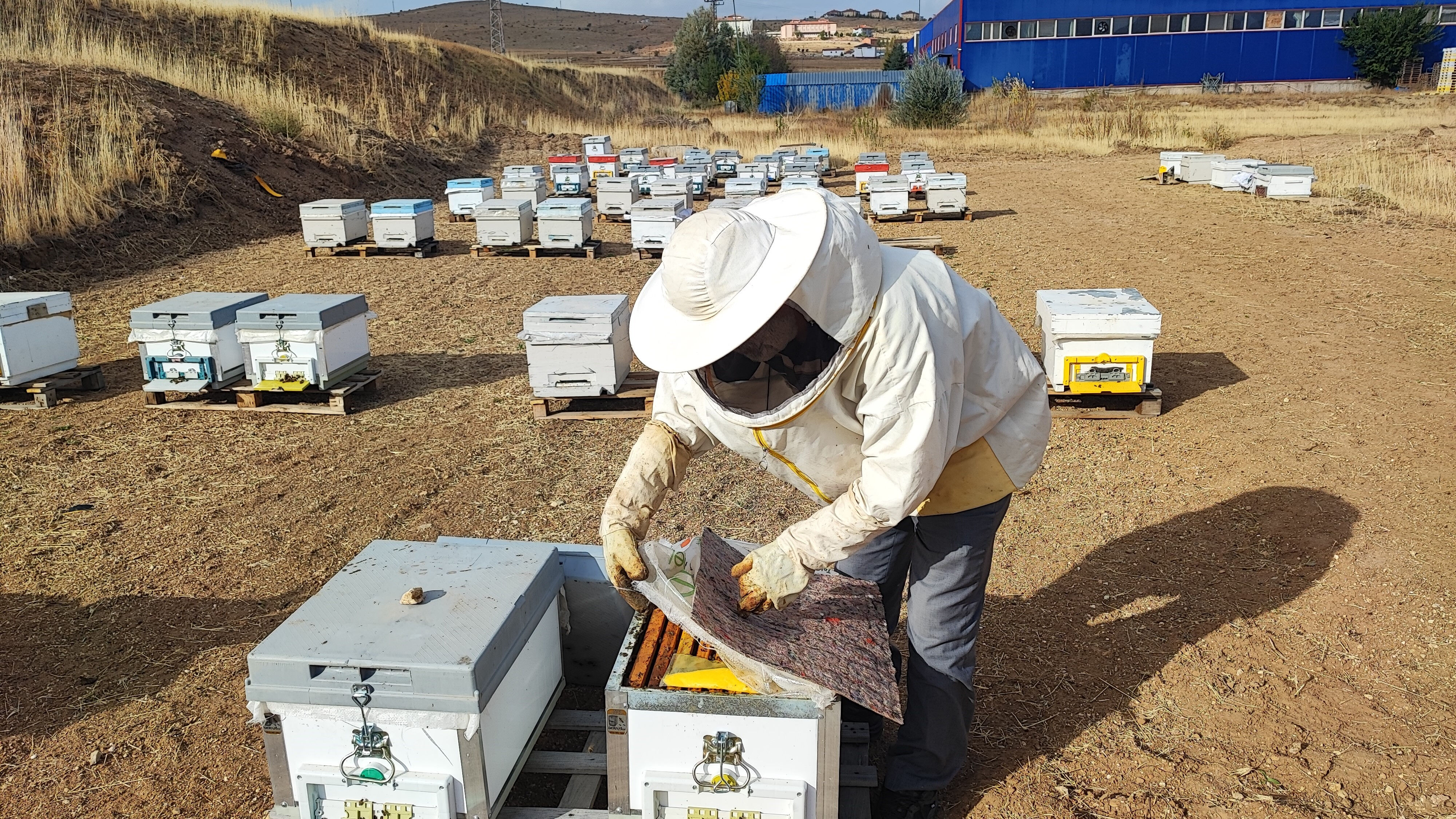 Bu bal öyle bir yerde üretiliyor ki... İnsan ayağı değmiyor, tadan bir daha istiyor - 1. Resim