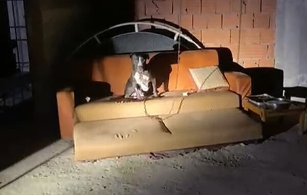 Cezaevinden çıktı, 3 gün üst üste apartmanı ateşe verdi - 1. Resim