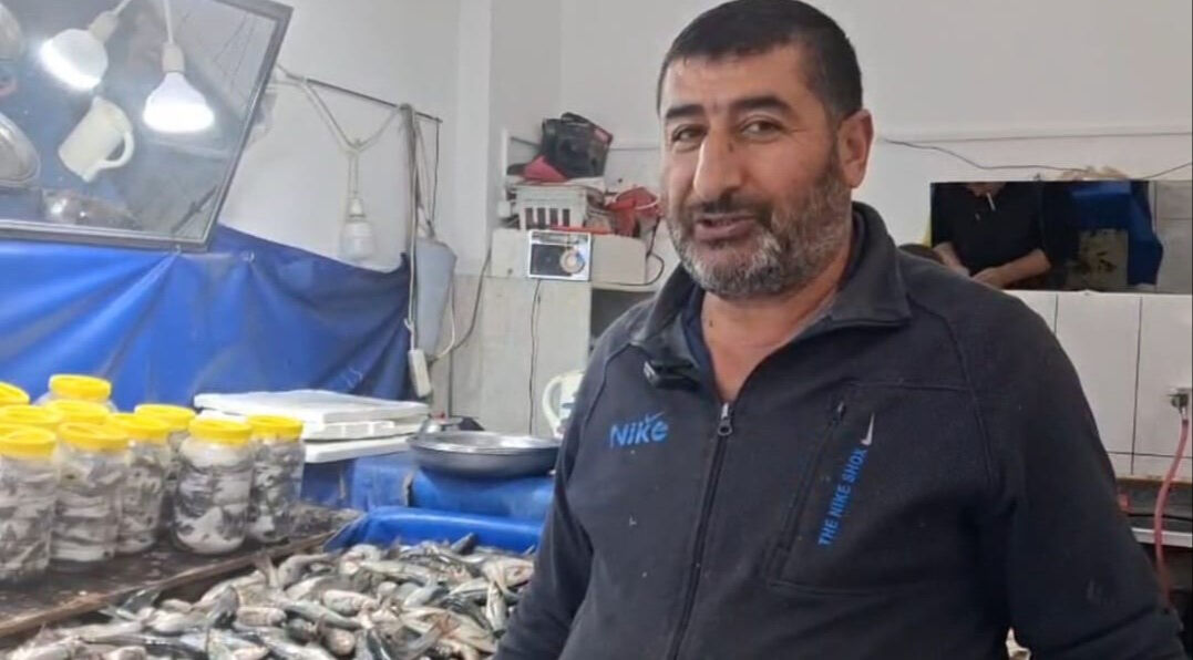 İnci kefali tezgahların en çok tercih edilen balığı oldu: Hem uygun fiyatlı hem de çok lezzetli! - 1. Resim