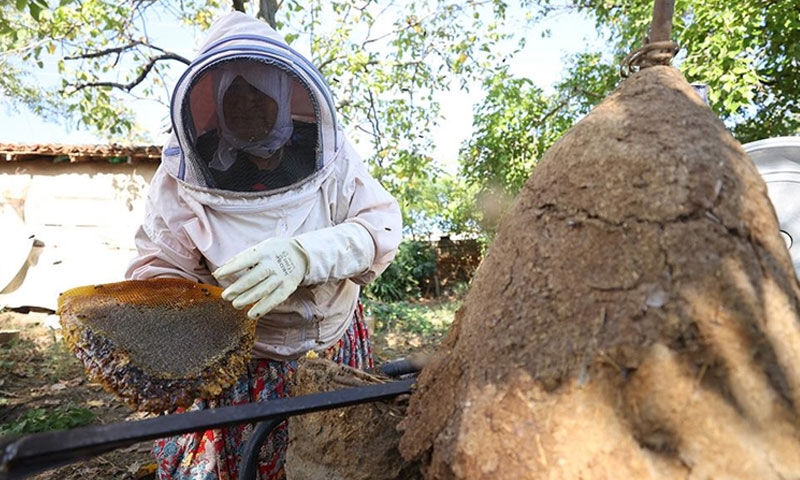 Kayınpederinden öğrendiği mirası yaşatıyor! Kilosu 1750, sipariş yağıyor - 1. Resim