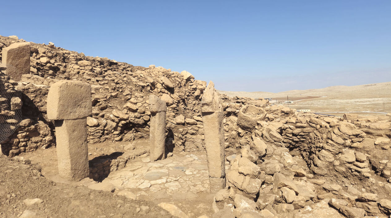 ‘Taş Tepeler’de taşlar yerinden oynuyor! Göbeklitepe gibi 30 alan var - 1. Resim